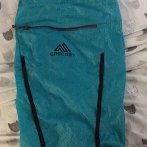 Gregory Backpack